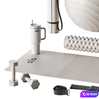 A set of equipment and decor for yoga and pilates classes 3D Model Vray, Corona