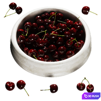 Cherry bowl 3D Model Vray, Corona