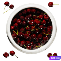 Cherry bowl 3D Model Vray, Corona