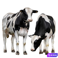 Cows 3D Model Corona