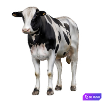 Cows 3D Model Corona