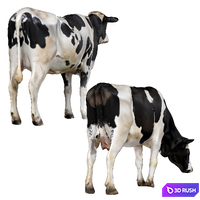 Cows 3D Model Corona