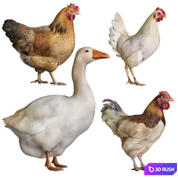 Rooster goose chicken 3D Model Corona