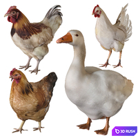Rooster goose chicken 3D Model Corona