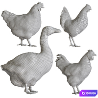 Rooster goose chicken 3D Model Corona