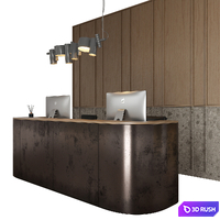 Reception 4 3D Model Corona