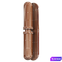 Esger 3D Model Corona