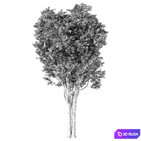 Tree Set.236 3D Model Vray, Corona