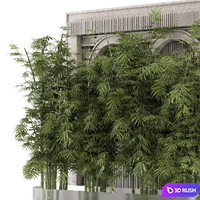 Indoor Wall Bamboo Garden Stone Base_Set 4217 3D Model Vray, Corona
