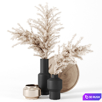 Decor set 16 3D Model Corona