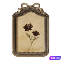 Picture Frames 06 3D Model Corona