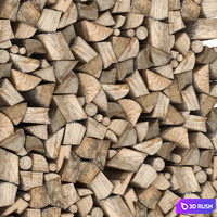 Firewood n19 3D Model Vray