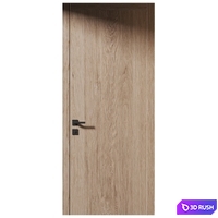Interior door | Planum Volhovec | 24 3D Model Vray, Corona