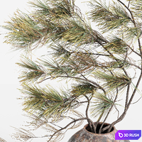 Decorative set with a bouquet of pine branches 3D Model Corona